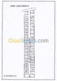 Vente Terrain Alger Ouled chebel — vignette 2