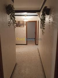 Location Appartement F3 Tipaza Khemisti — vignette 5