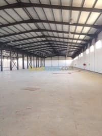 Location Hangar Blida Meftah — vignette 2