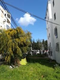 Vente Appartement F3 Bejaia Bejaia — vignette 3