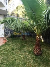 Location Appartement F3 Alger El biar — vignette 4