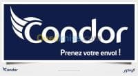 PROMO CONGELATEUR CONDOR 10 ANS DE GARANTIE INVERTER 130L BRUT NET 105L — vignette 3