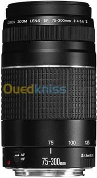 OBJECTIF CANON — vignette 3