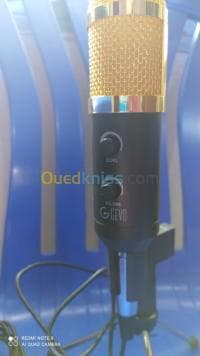 Microphone professionnel BM 800 — vignette 3