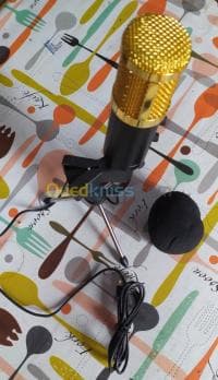 Microphone professionnel BM 800 — vignette 5