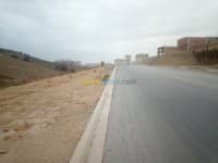 Vente Terrain Alger Zeralda — vignette 2