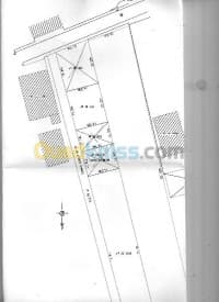 Vente Terrain Alger Ouled chebel — vignette 2