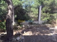 Location Appartement F3 Alger Ben aknoun — vignette 5