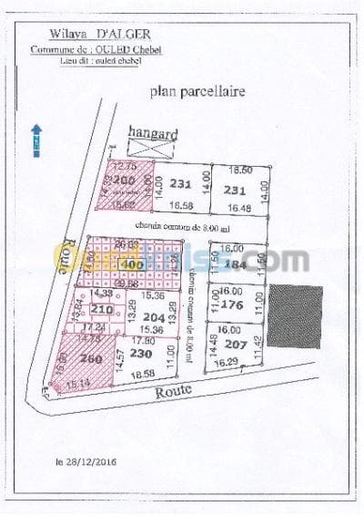 Vente Terrain Alger Ouled chebel