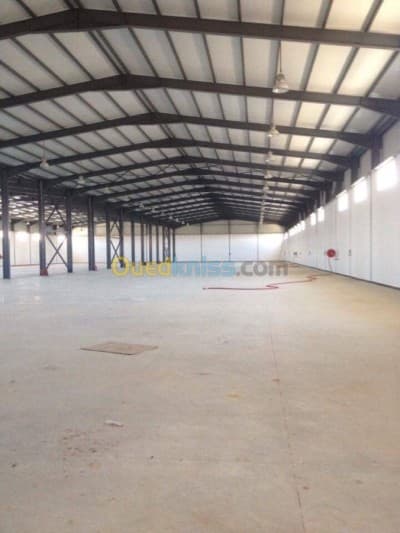 Location Hangar Blida Meftah