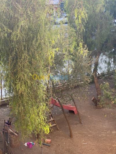Location Appartement F2 Alger Bab ezzouar