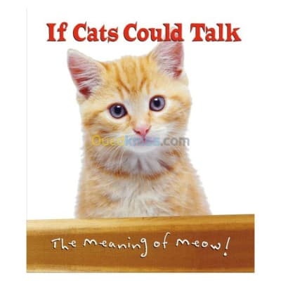 Upsize Humor Book Cat