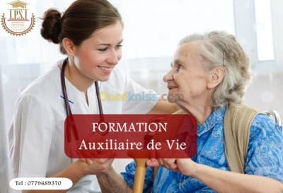 formation auxiliaire de vie