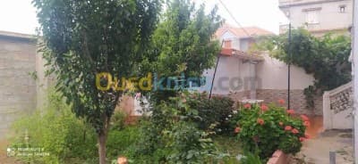 Vente Villa Boumerdes Hammedi