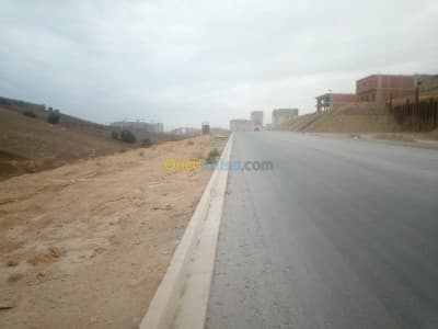Vente Terrain Alger Zeralda