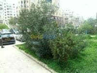 Vente Duplex F4 Alger El achour — vignette 2