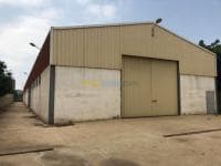 Location Hangar Alger Oued smar — vignette 2