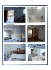 Location Villa Alger Hydra — vignette 3