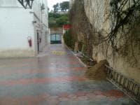 Location Villa Alger Hydra — vignette 4