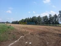 Vente Terrain Alger Ouled chebel — vignette 5