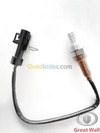 SONDE D'OXYGENE GREAT WALL — vignette 3