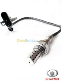 SONDE D'OXYGENE GREAT WALL — vignette 4