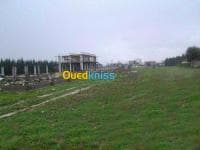 Vente Terrain Alger Ouled chebel — vignette 3