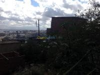 Vente Terrain Alger Bouzareah — vignette 4