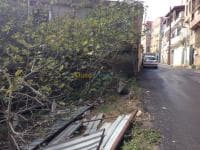 Vente Terrain Alger Bouzareah — vignette 5