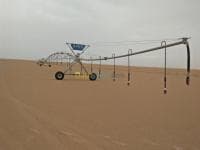 Location Terrain Agricole Ouargla Ouargla — vignette 2