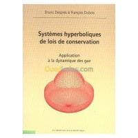 Systemes Hyperboliques De Lois De Conservation Application A La Dynamique Des Gaz — vignette 2