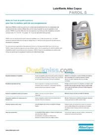 ATLAS COPCO PAROIL S 20 LITRES DISPONIBLE — vignette 4