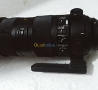 Obdjectif canon 150*600 — vignette 3