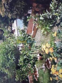 Vente Villa Alger Ben aknoun — vignette 2