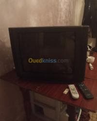 Télévision — vignette 3