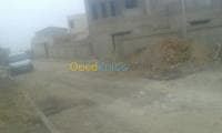 Vente Carcasse Alger Ouled fayet — vignette 5