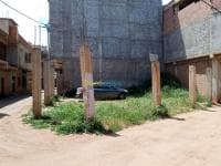 Vente Terrain Tipaza Fouka — vignette 4