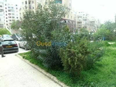 Vente Duplex F4 Alger El achour