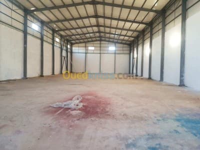 Location Hangar Tipaza Kolea