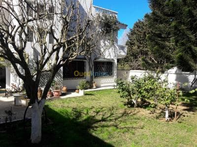 Vente Terrain Alger Bouzareah