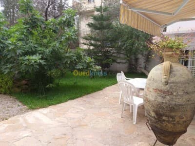 Location Appartement F3 Alger Birkhadem