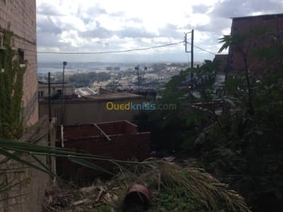Vente Terrain Alger Bouzareah