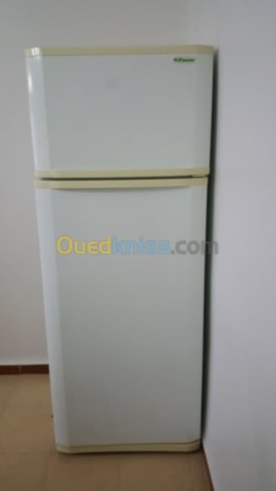 Refrigirateurs marque Frigor 455L