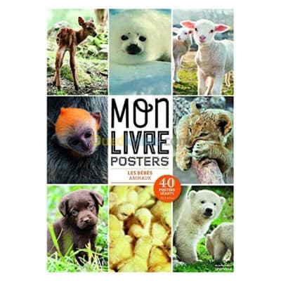 Bébés animaux. collection mon livre post