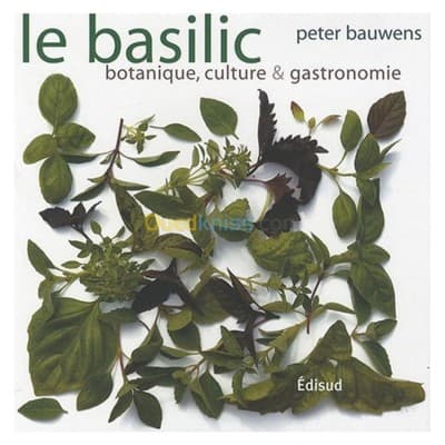 Le basilic - Botanique, culture & gastronomie