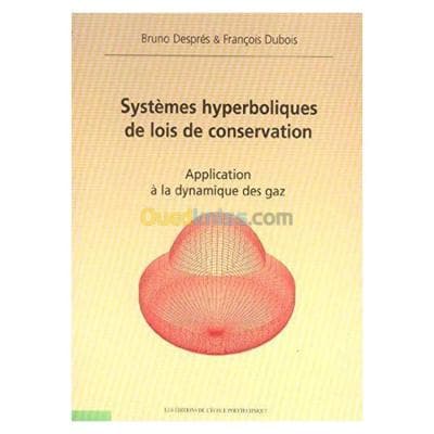 Systemes Hyperboliques De Lois De Conservation Application A La Dynamique Des Gaz