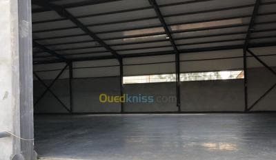 Location Hangar Blida Beni tamou