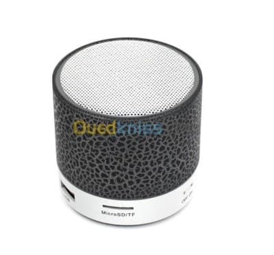 Mini Haut-parleur Bluetooth