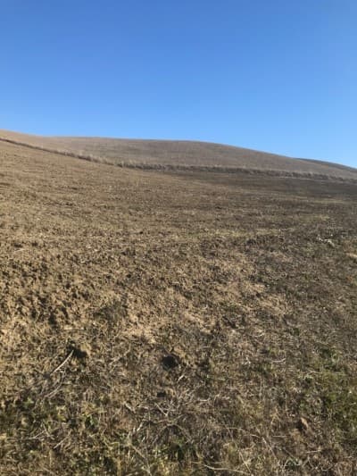 Vente Terrain Agricole Aïn Defla El hassania