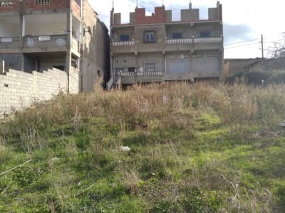 Vente Terrain Skikda Essebt